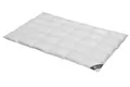 Daunendecke 155x220 cm 100 % Gänsedaunen   Bettdecke Steppdecke Daunen SPESSARTTRAUM GOLD