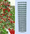 BALDUR Garten 3x Kletter-Erdbeere 'Hummi®' und Dekorativer Rankturm; Set Erdbeere mit Rankhilfe, schnellwachsende Klettererdbeeren, selbstfruchtend, winterhart, extra lange & starke Ranken, blühend