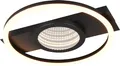 Trio LED Deckenleuchte Wheeler 16 W schwarz matt