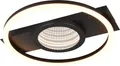 Trio LED Deckenleuchte Wheeler 16 W schwarz matt  Deckenlampen & Kronleuchter