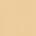 PL0502021 - Vinylfolie, Permanent, 315 mm x 1 m, beige