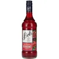 Bols Grenadine Syrup 0,75l