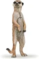 Papo - Realistische Erdmännchen stehend-Figur - 3 Jahre + - Kollektion Wilde Tiere - Lernspiel Savannentiere - Geschenkidee Spielzeug für Mädchen und