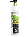 Delia Cameleo Keratin-Shampoo Anti-Damage für geschädigtes Haar, 250 ml