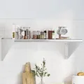 vidaXL Wandregal 100x45x31 cm Silbern Edelstahl