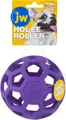 J.W. JW JW43111 HOL-ee Roller, Hundespielzeug kauen und beißen, M