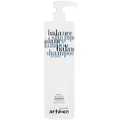 Artego Balance Shampoo Anti-Sebum 1000ml für zu Fettigkeit neigendes Haar