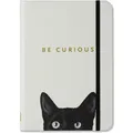 Peter Pauper Curious Cat Journal (Diary, Notebook) (Liniert, Harter Einband) (45521295)