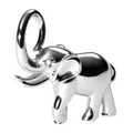 Purelei Flowing Strength Charm – Elefanten-Anhänger mit Zirkonia – Glücksbringer Schmuck für Ketten – Edelstahl 14K/18K vergoldet – Wasserfest (Silver)