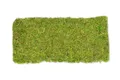 NaDeco Moosplatte ca. 38x18cm | Moosmatte | Moosbild | Moos Ziegel | Mooswand | Moosfliese | Wandbild | Flachmoos | Asia Moos | Waldmoos | Moosteppich