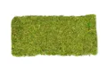 NaDeco Bastelnaturmaterial Moosplatte ca. 38x18cm Moosmatte