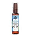 Yves Rocher Wildalge & Meerfenchel Parfümiertes Duftspray Körper & Haare Perfume Mist Körperspray 100 ml