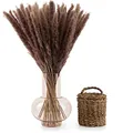 Blumtal 30 Stück Pampasgras getrocknet - Trockenblumen Pampas Grass, Naturbraun