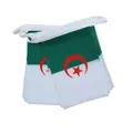 AZ FLAG - Fahnenkette Algerien 6 Meter Mit 20 Flaggen - 21x14 cm - Algerische Girlande Flaggenkette 14 x 21 cm