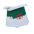 Fahnenkette Algerien 6m mit 20 Flaggen 21x14cm - Girlande, Flaggenkette