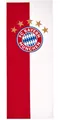 FC Bayern München Fahne Bannerfahne Logo
