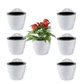 ShoppeWatch Selbstbewässernde Wand Blumentopf Hängend 7 Stück | Wandvasen für Pflanzen Blumen, Innen- und Außenbereich | Pflanzen Wand Mittelgroß, 12,7 cm PL34