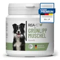 ReaVET Grünlippmuschel Kapseln für Hunde hochdosiert 100Stk - Gelenktabletten Hund mit Grünlippmuschelpulver in Vollfettqualität 10,2%, Grünlippmuschelextrakt für Gelenke