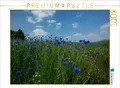 CALVENDO Puzzle Cornflowers Faszination in Blau | 1000 Teile Lege-Größe 64x48cm Foto-Puzzle für glückliche Stunden
