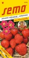 Erdbeeren Samen Erdbeersamen Erdbeere Florian F1 Obst (1216)