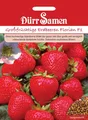 Erdbeeren Samen Erdbeersamen Erdbeere Florian F1 Obst Rote Früchte Saat Beeren