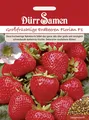 Erdbeeren Florian F1 Saatgut von Dürr-Samen