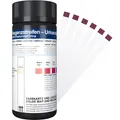125x Ketone Teststreifen in Tube – Ketose Messergebnisse – für Keto Ernährung...