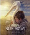 Тиле Колин | Штормик и мистер Персиваль | Книги с иллюстрациями Роберта Ингпена