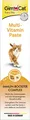GimCat Multi-Vitamin Paste 100g