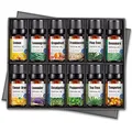 Bio Ätherische Öle 12-er Set - Natürliche Entspannung für alle Sinne | Lavendel, Pfefferminz, Teebaum, Süße Orange, Eukalyptus, Zitronengras, Rosmarin, Weihrauch, Zitrone, Mandarine, Pinie, Grapefru