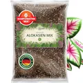 ORAGARDEN Alocasien Erde für Zimmerpflanzen und Garten - 3L Alokasien Substrat für Pflanzen, Palmen, Blumen - 6 Komponenten Blumenerde