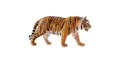 Wild Life Tiger (orange)
