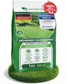 Rasensamen Schnellkeimend Frühjahr – TEST SEHR GUT – Grassamen Schnellkeimend...