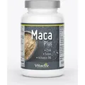 MACA Plus Kapseln - Die Powerknolle für Testosteronspiegel, Leistungsfähigkeit & „Manneskraft“ (Aphrodisiakum)* - Nahrungsergänzungsmittel v...