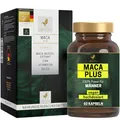 Vitactiv MACA PLUS Kapseln – 60 Maca Kapseln Hochdosiert für 60 Tage - 500 mg Extrakt aus Maca Wurzel pro Kapsel - Komplex mit Selen, Zink und Vitamin B6 - Vegan, Laborgeprüft in Deutschland