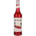 Le Sirop de Monin SPICY 0,7l
