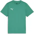Puma teamGOAL Jersey Jr (152) (658637_05)