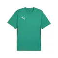 Puma Teamgoal Trikot Kurzarm Kinder - Grün