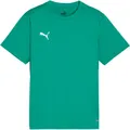 Puma Teamgoal Trikot Kinder - grün
