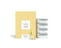 Tea Fortè Box 40 Pyramiden Moroccan Mint Tee Mint Green