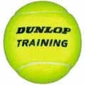 Dunlop Training 60 Stück Tennisbälle Tennis Balls