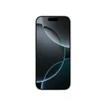 Apple iPhone 16 Pro Max 256GB Titan weiß Neu & OVP Rechnung ausgw. MwSt