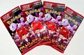 Pokémon - The Glory of Team Rocket / Ewige Rivalen - Booster - OVP NEU Japan