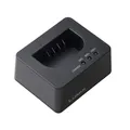 Panasonic DMW-BTC15E Ladegerät für Akku BLK22E