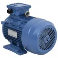Elektromotor 3-Phasen 2Polig 2840U/min Asynchronmotor Drehstrommotor vidaXL