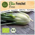 Fenchel Samen (BIO) - 150 Samen Gemüsesamen Fenchelsamen Fino