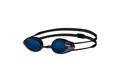 Arena Schwimmbrille Tracks Mirror, mit doppeltem Kopfband für sicheren Halt