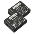 Panasonic Akku DMW-BLG 10 E 2er Pack 26363