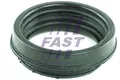 FT49914 FAST Dichtring, Ansaugschlauch-Luftfiltergehäuse für FIAT