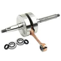 MF2399 ATHENA Sport Motorwelle 2T Für Piaggio Gilera ZIP NRG Runner